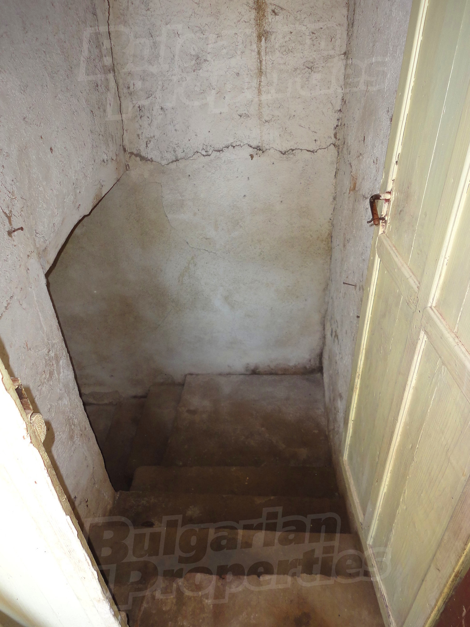 Gallery Picture 28