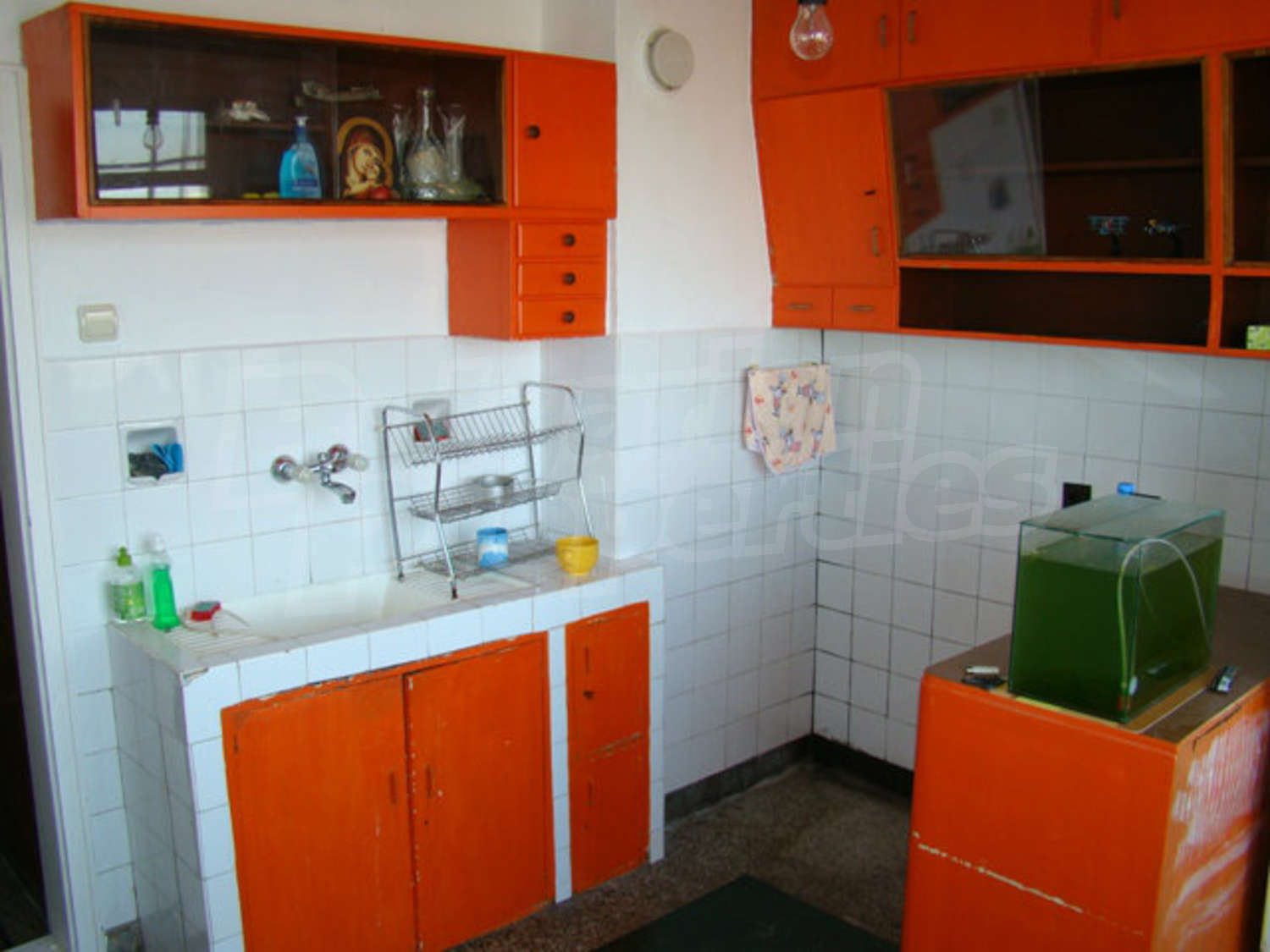 Gallery Picture 19