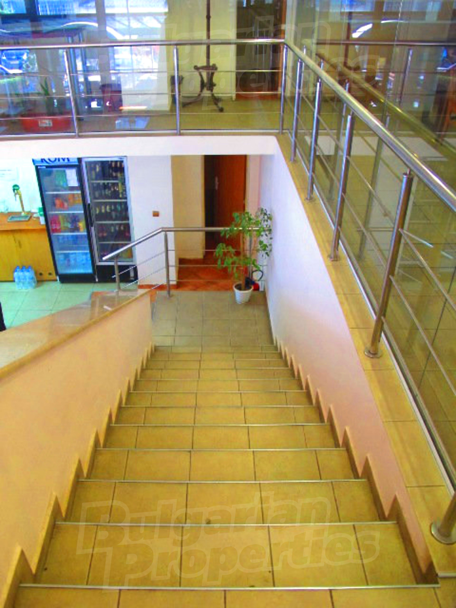 Gallery Picture 12
