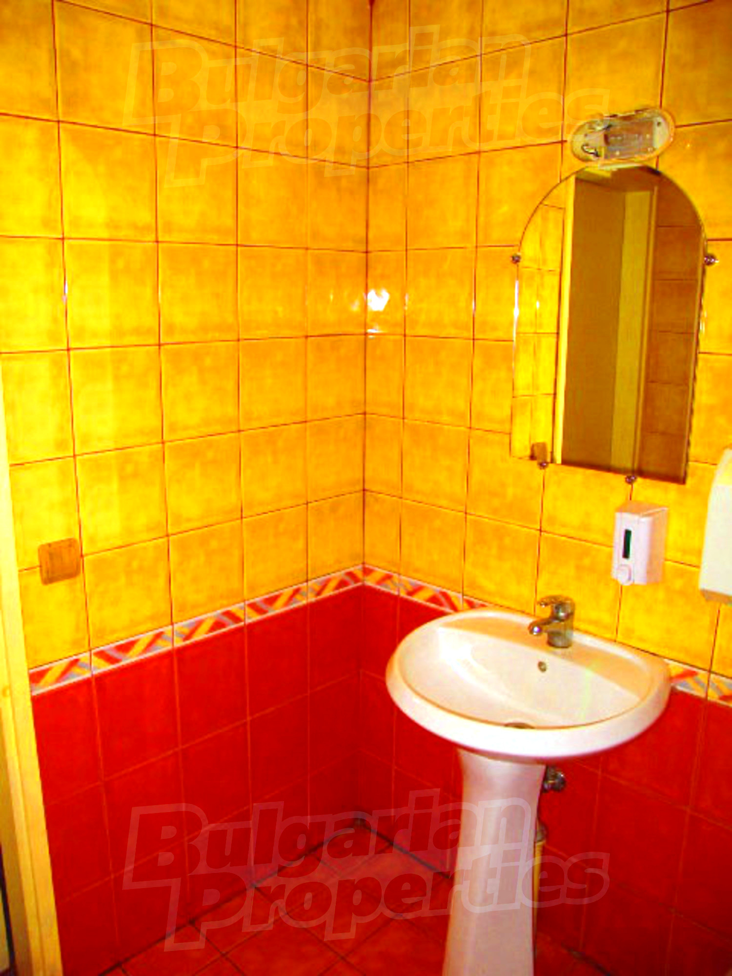 Gallery Picture 28