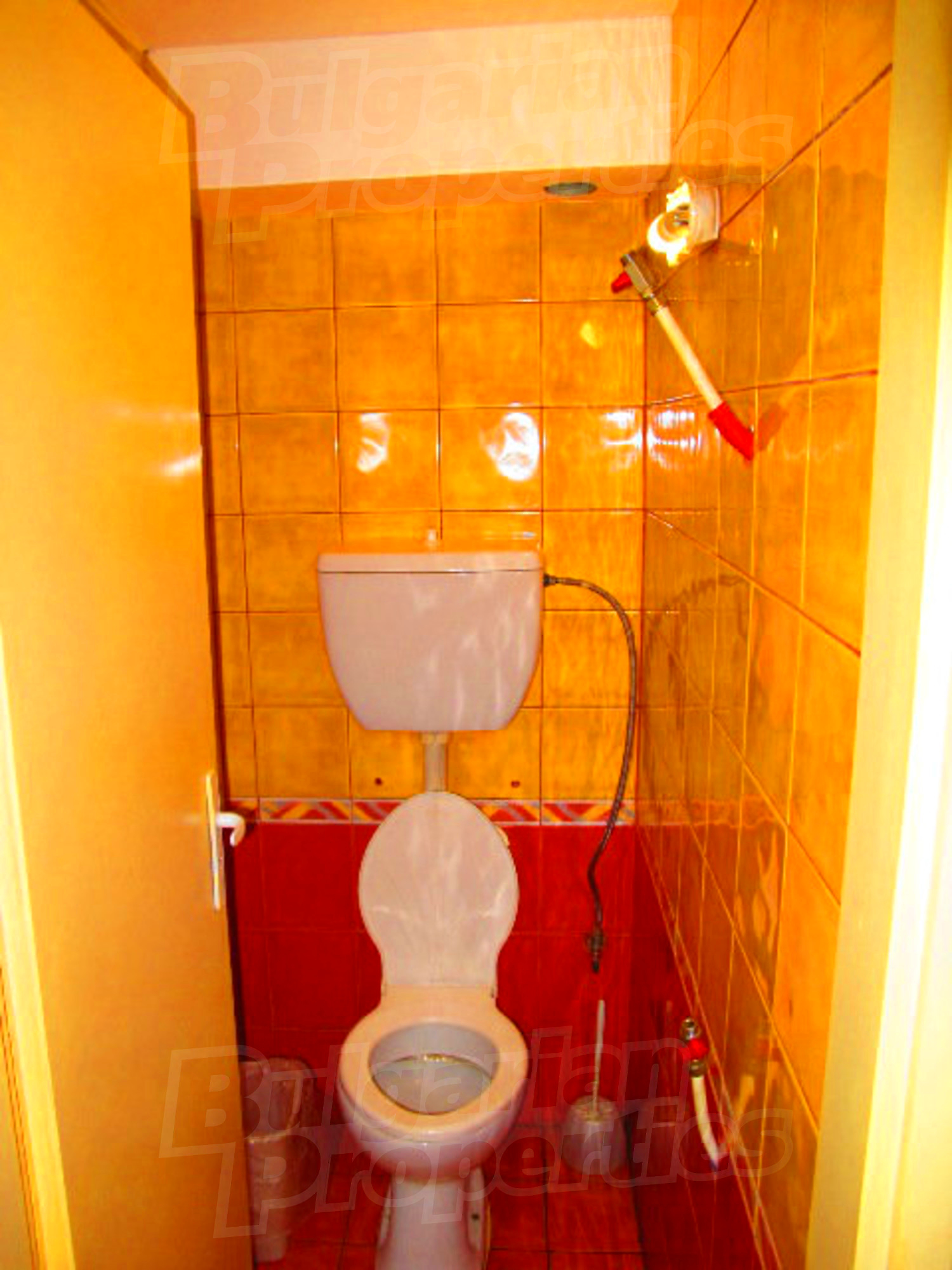 Gallery Picture 29