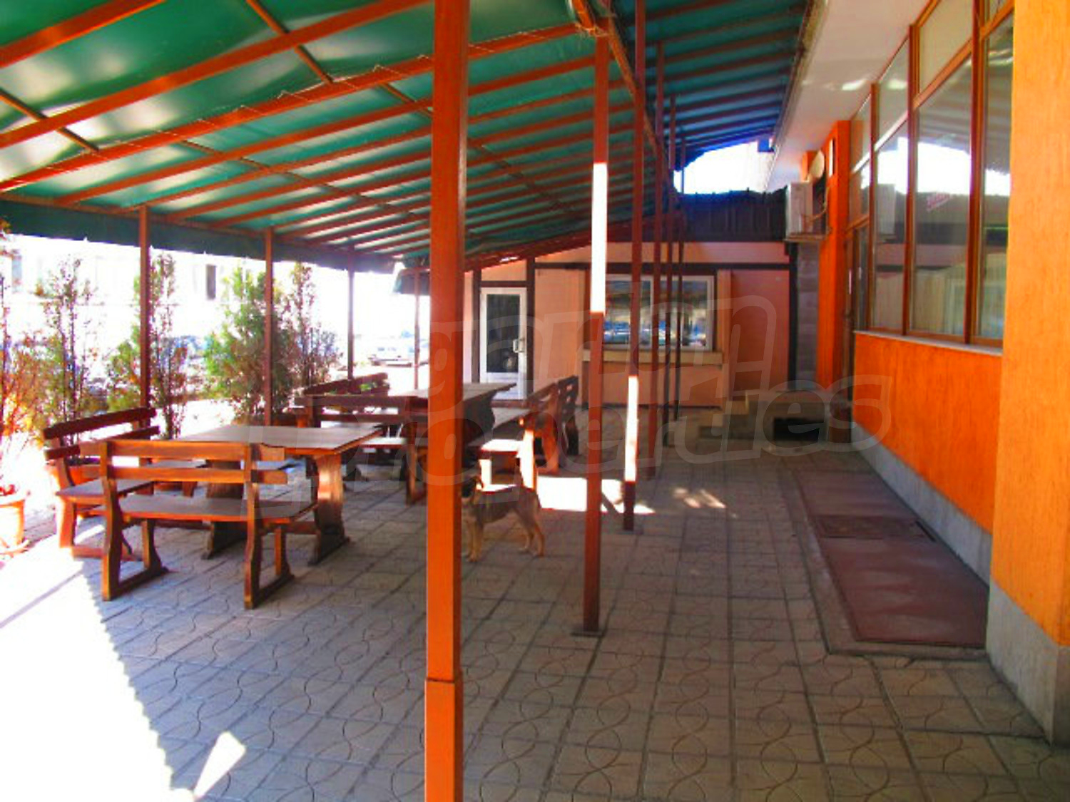 Gallery Picture 3