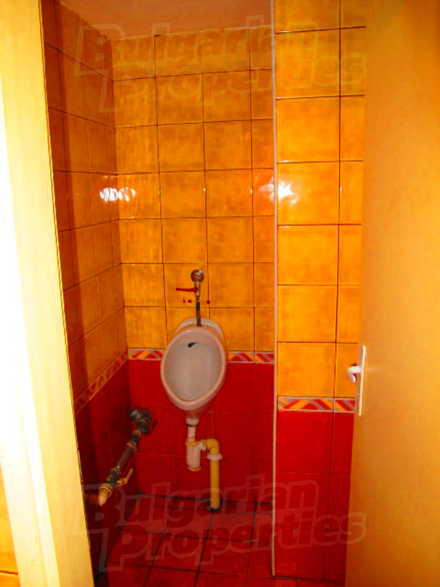 Gallery Picture 31