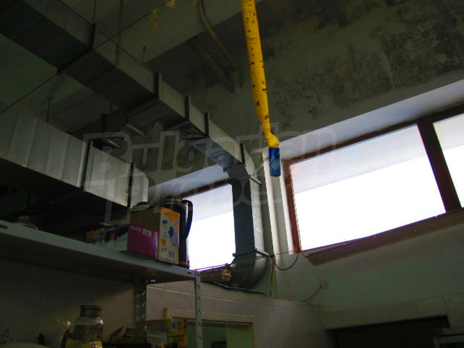 Gallery Picture 39