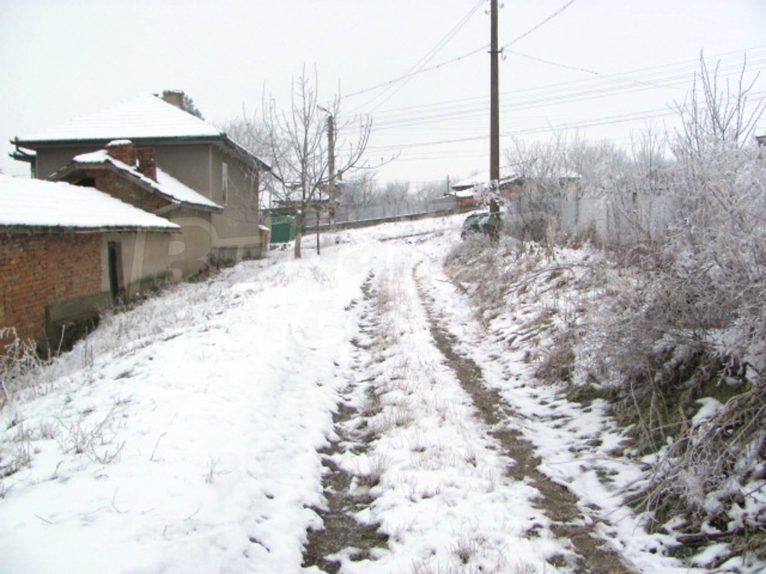 Gallery Picture 17