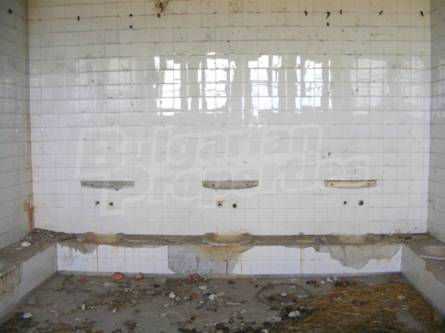 Gallery Picture 10