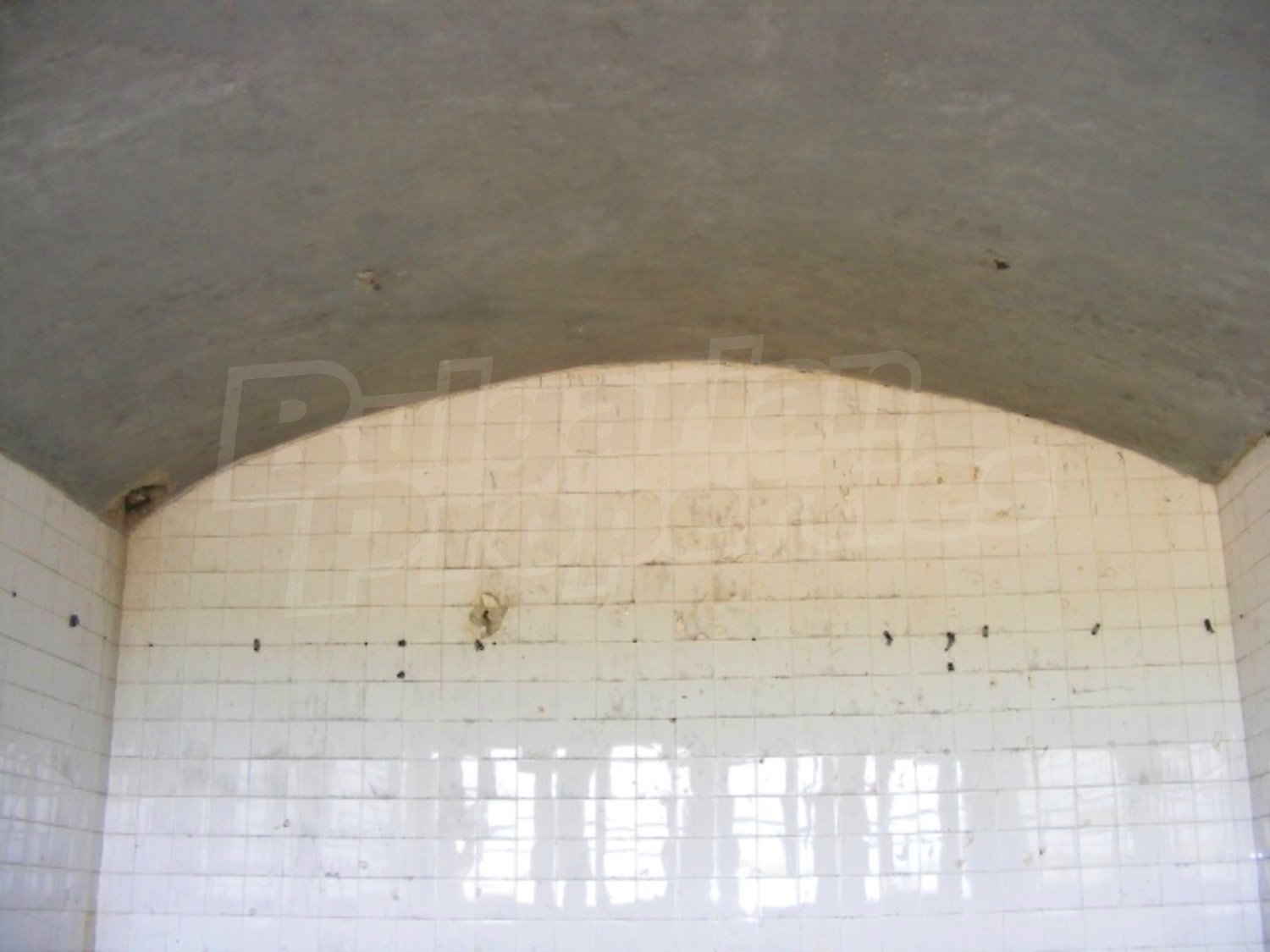 Gallery Picture 11