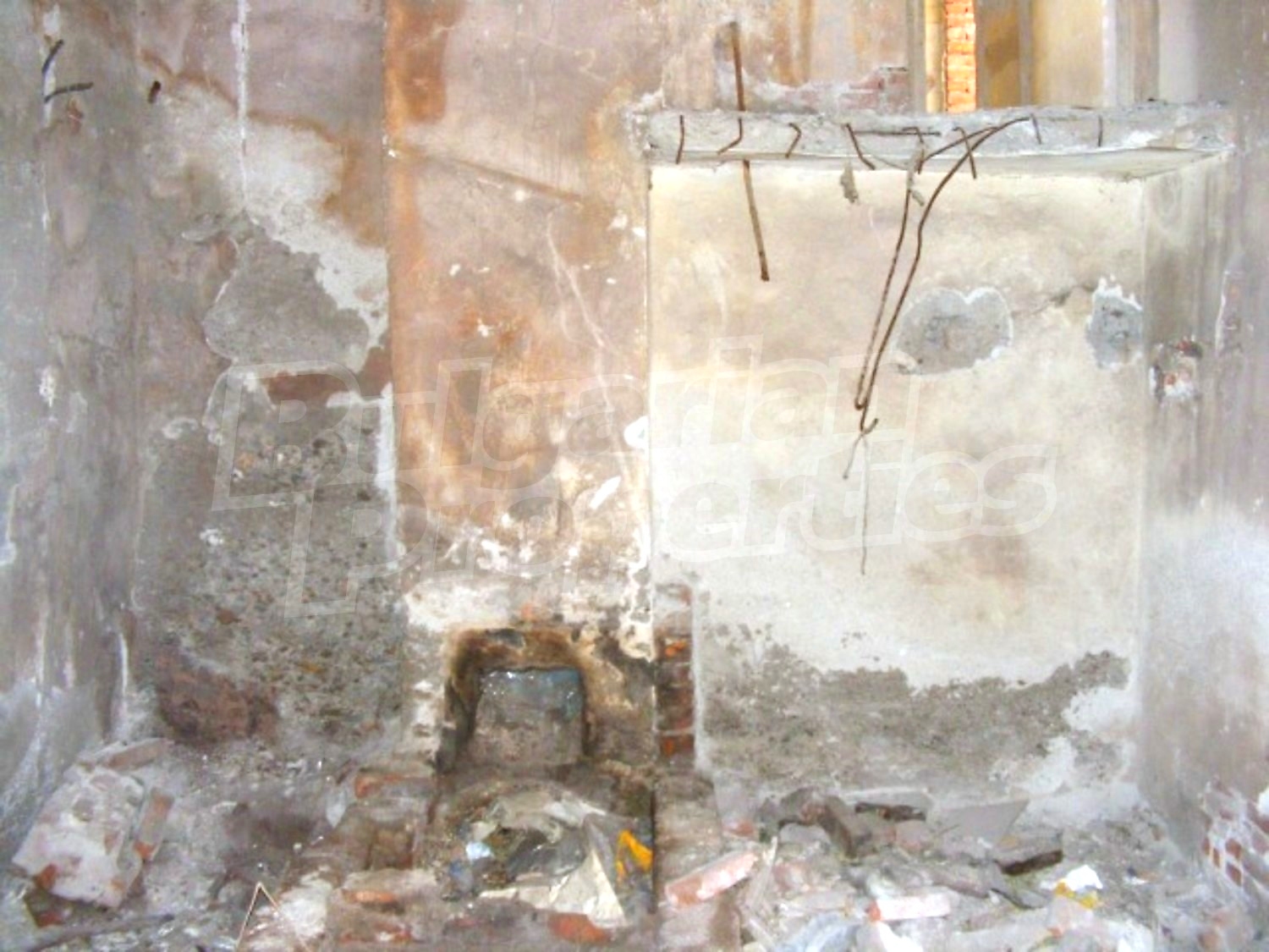Gallery Picture 12