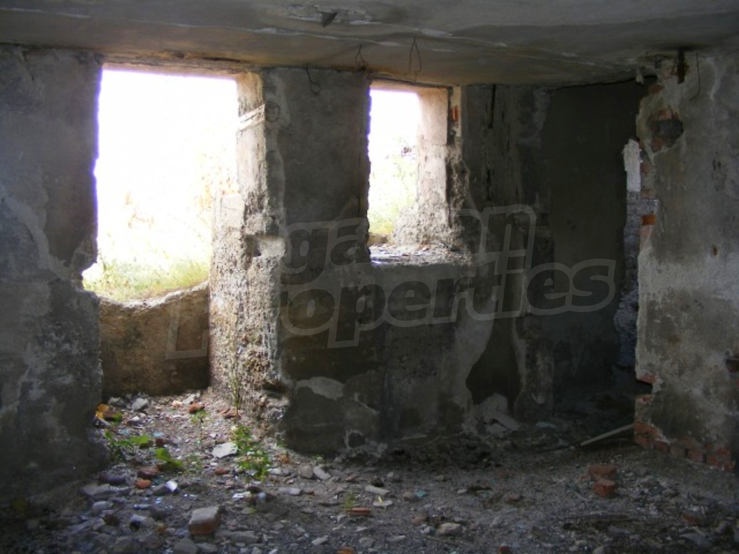 Gallery Picture 14
