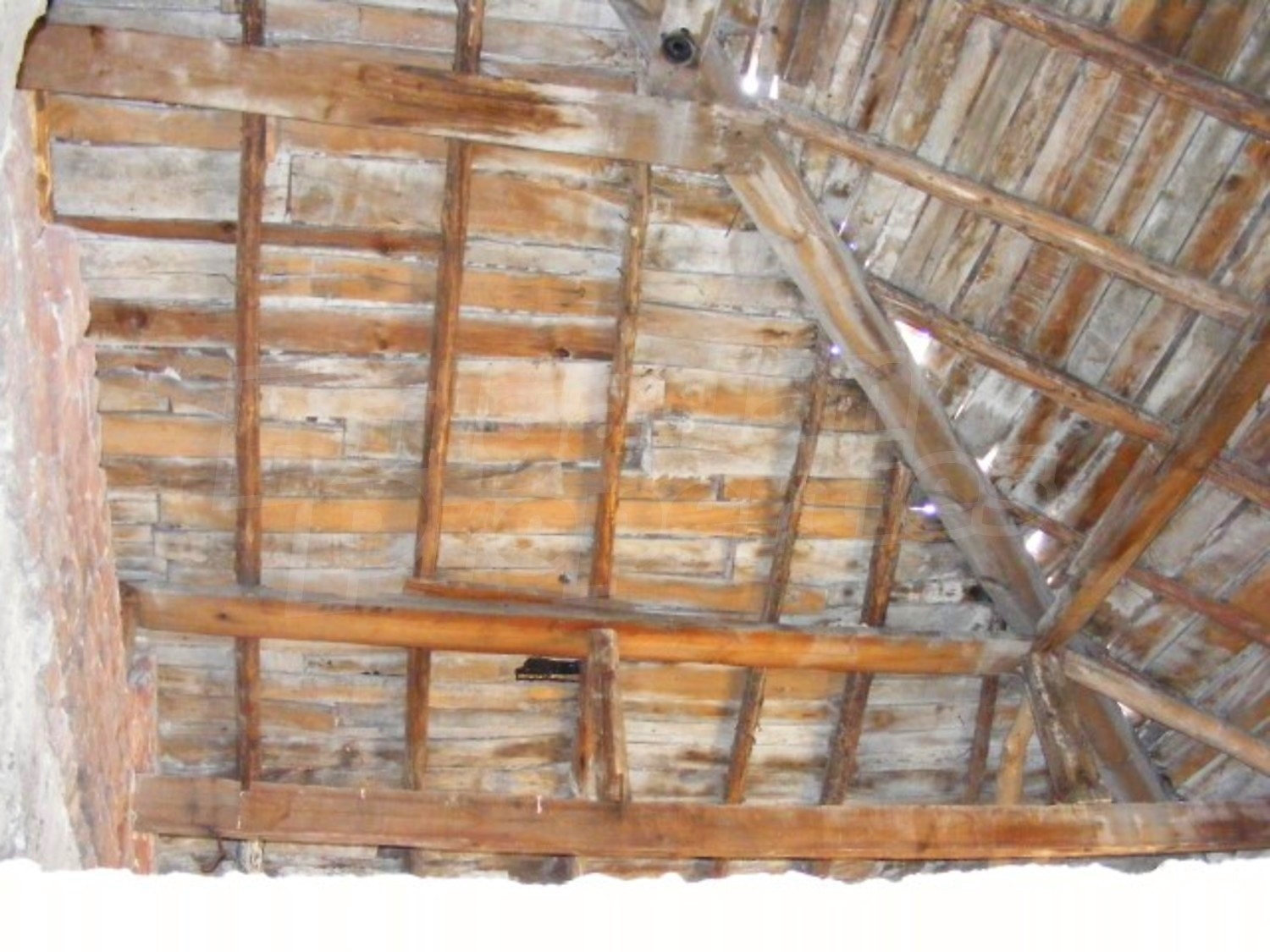 Gallery Picture 15