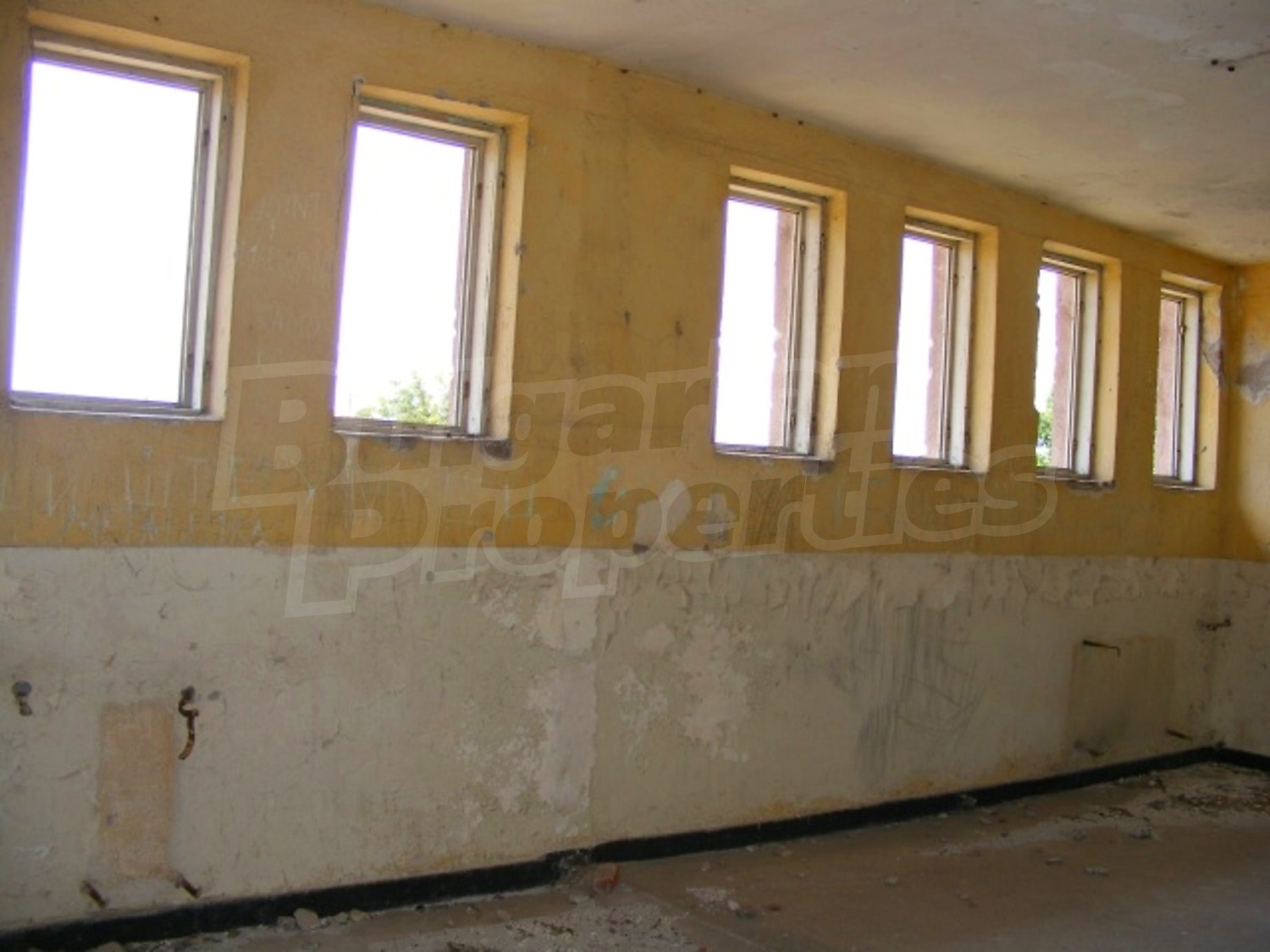 Gallery Picture 8