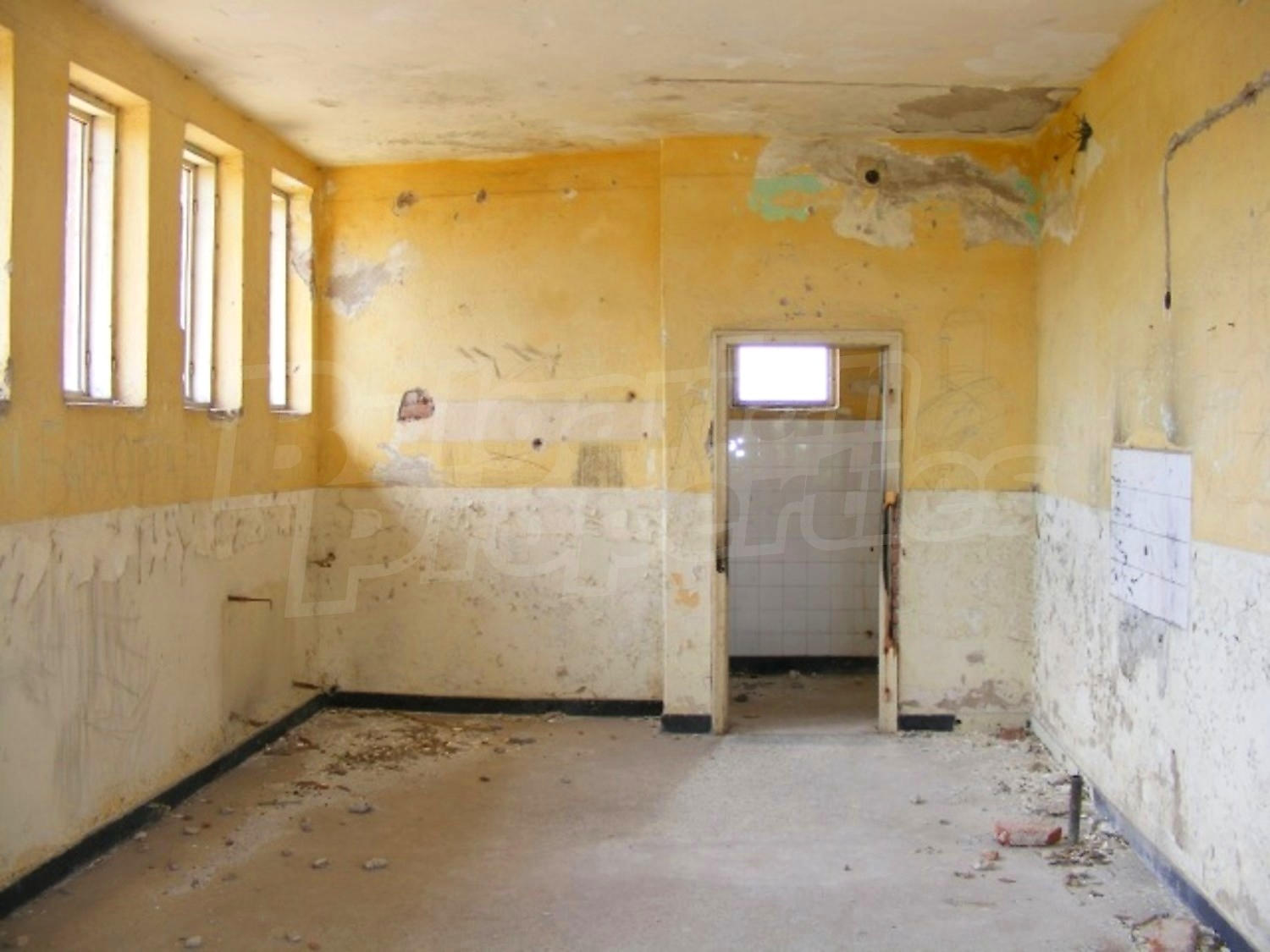 Gallery Picture 9