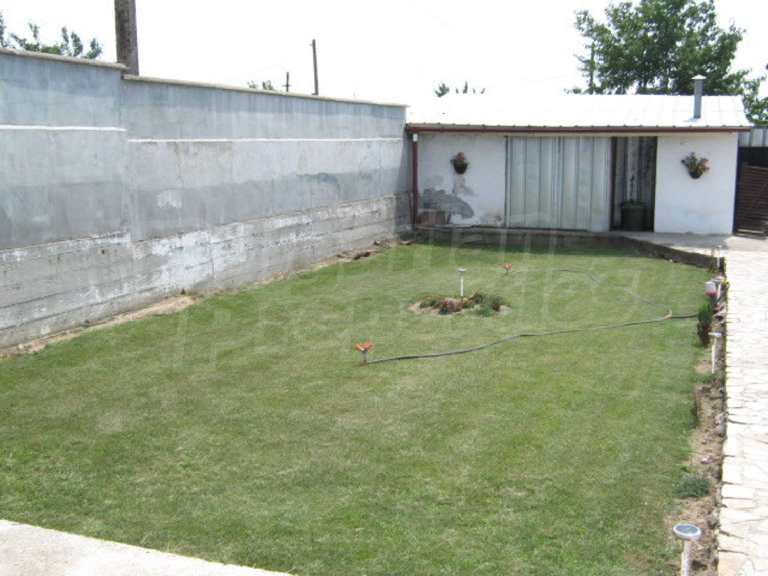 Gallery Picture 23