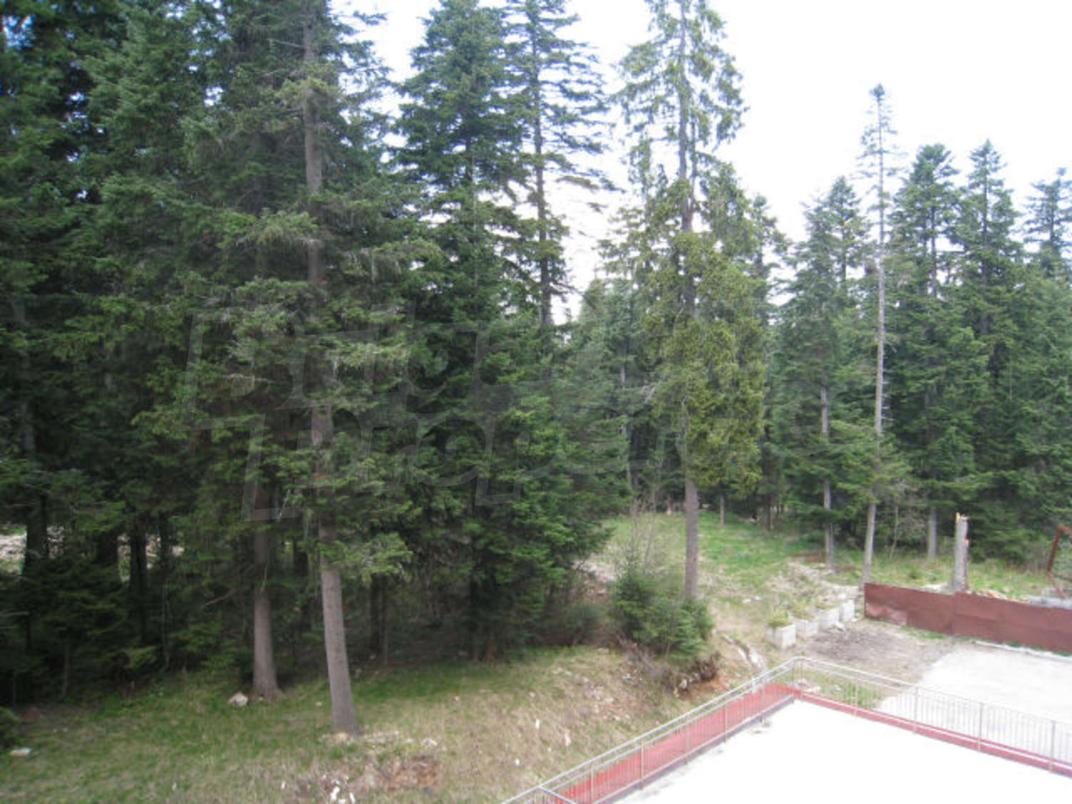 Gallery Picture 15