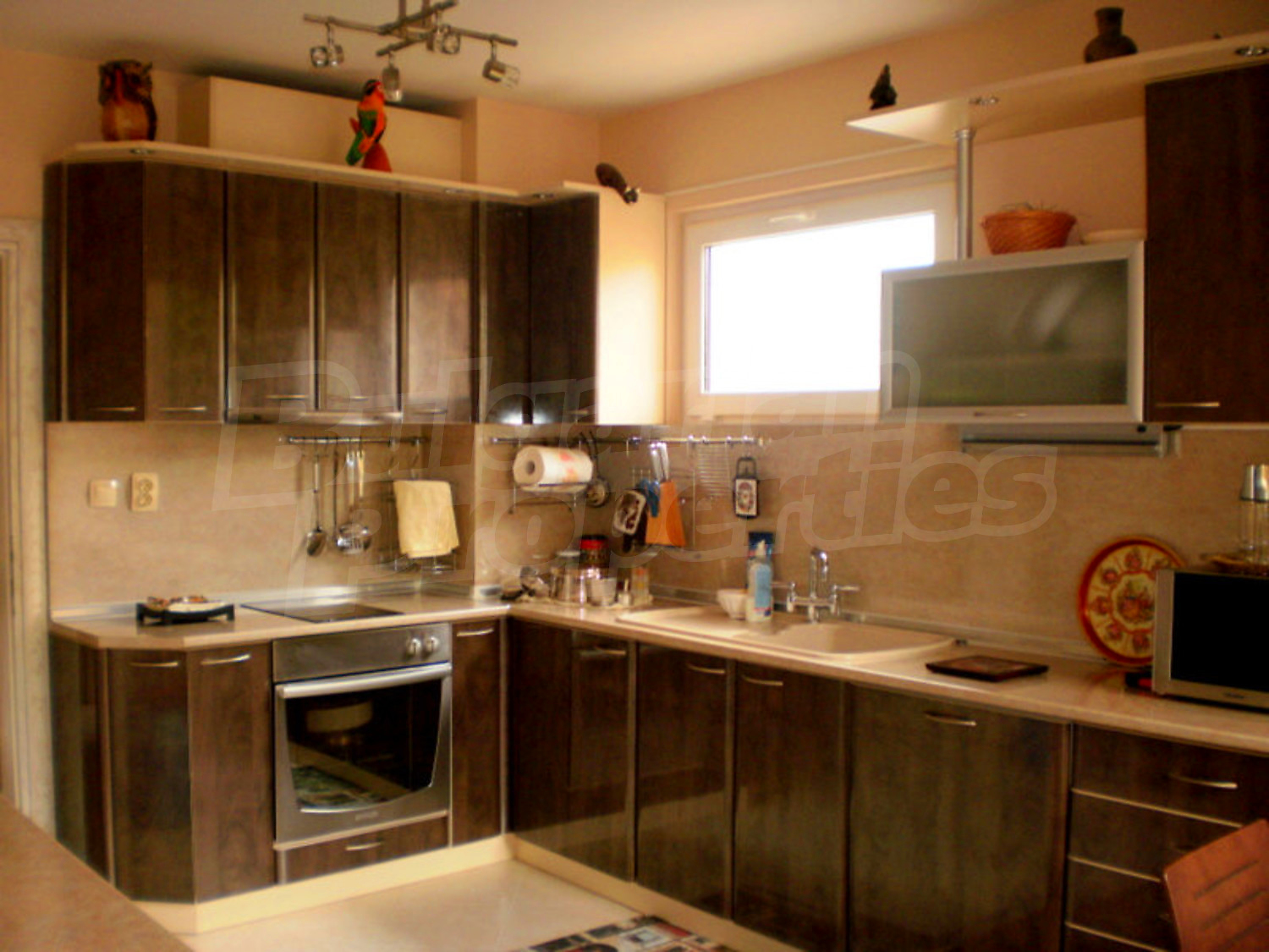 Gallery Picture 11