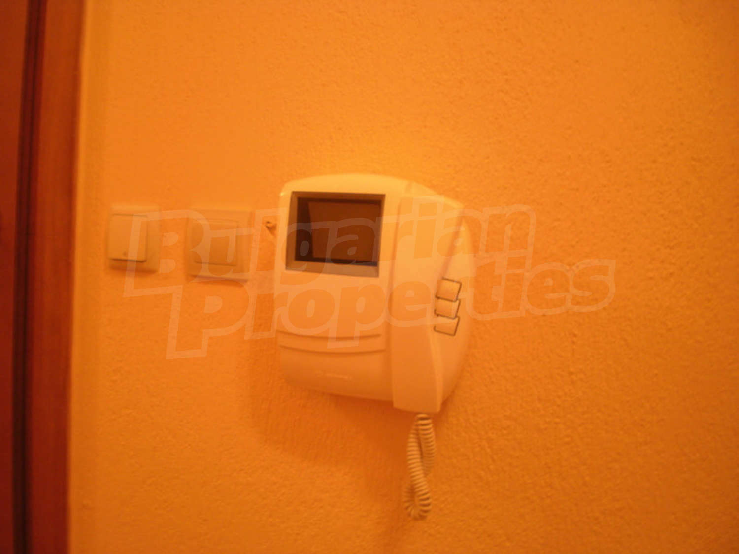 Gallery Picture 7