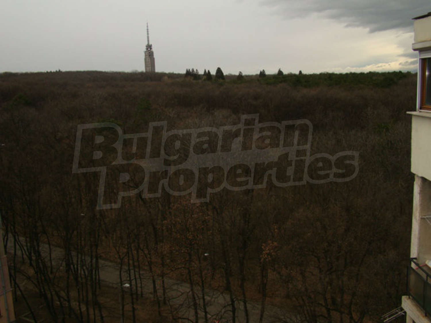 Gallery Picture 13