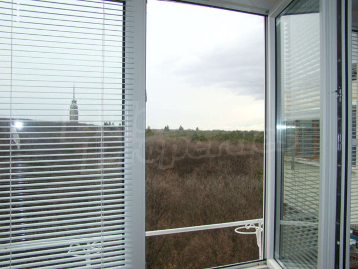 Gallery Picture 14