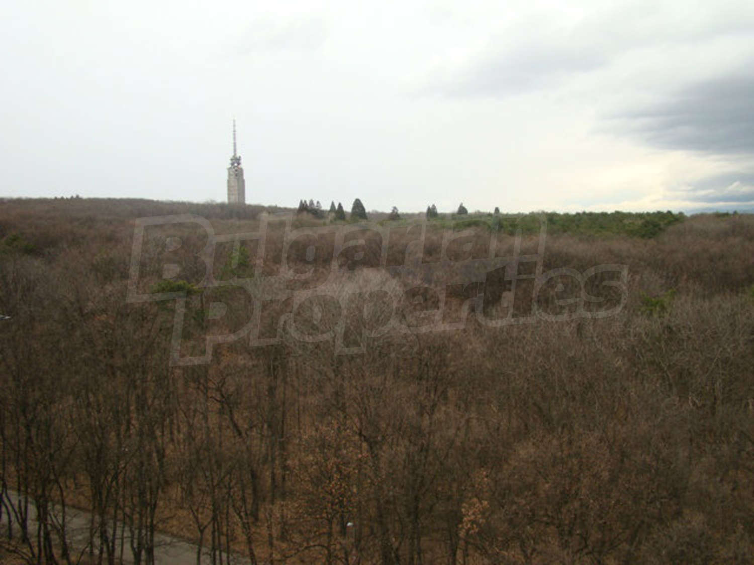 Gallery Picture 26