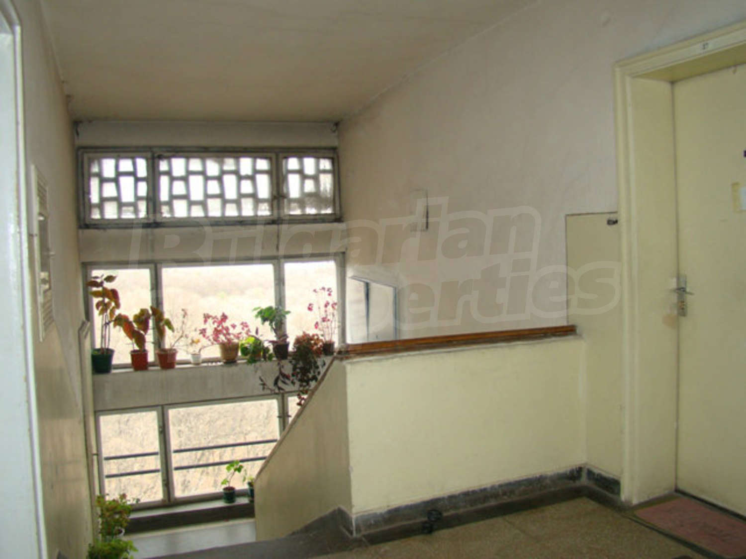 Gallery Picture 33
