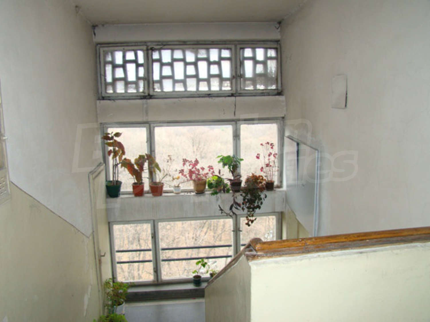 Gallery Picture 34