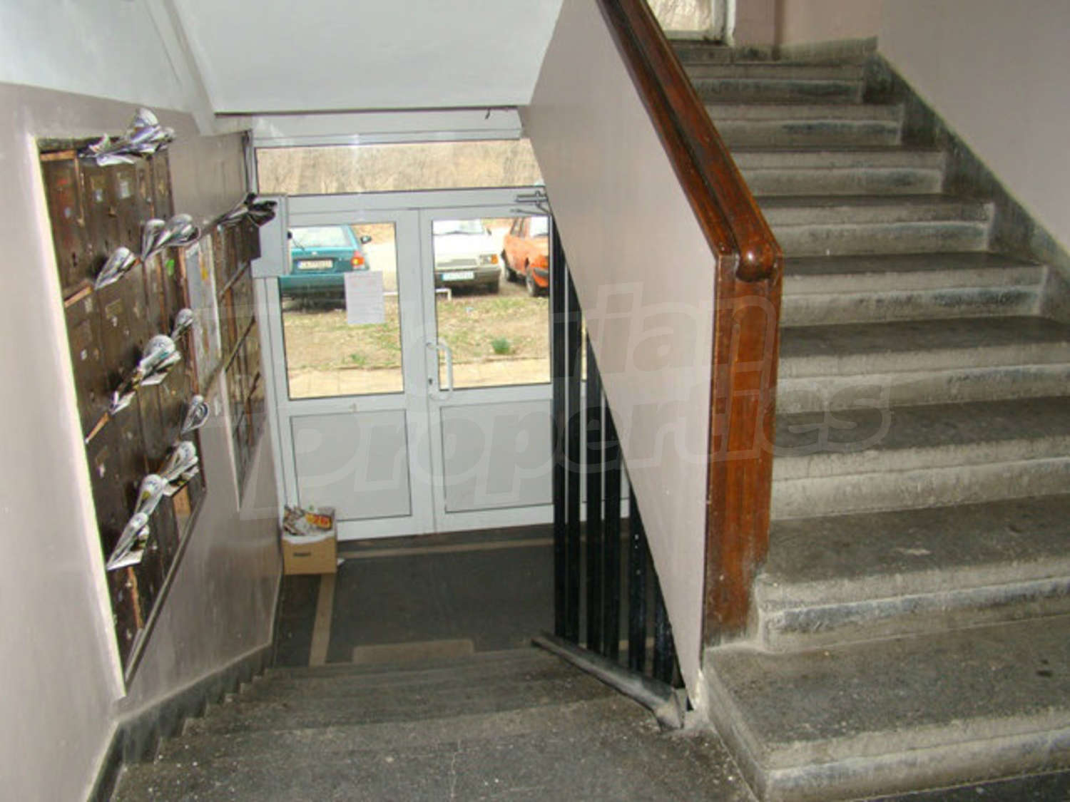 Gallery Picture 36