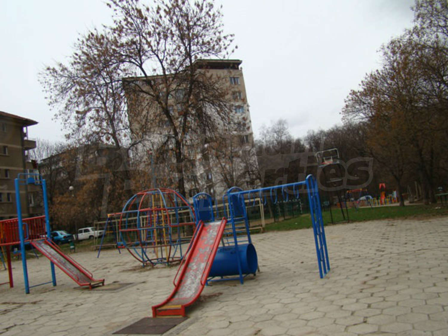 Gallery Picture 39