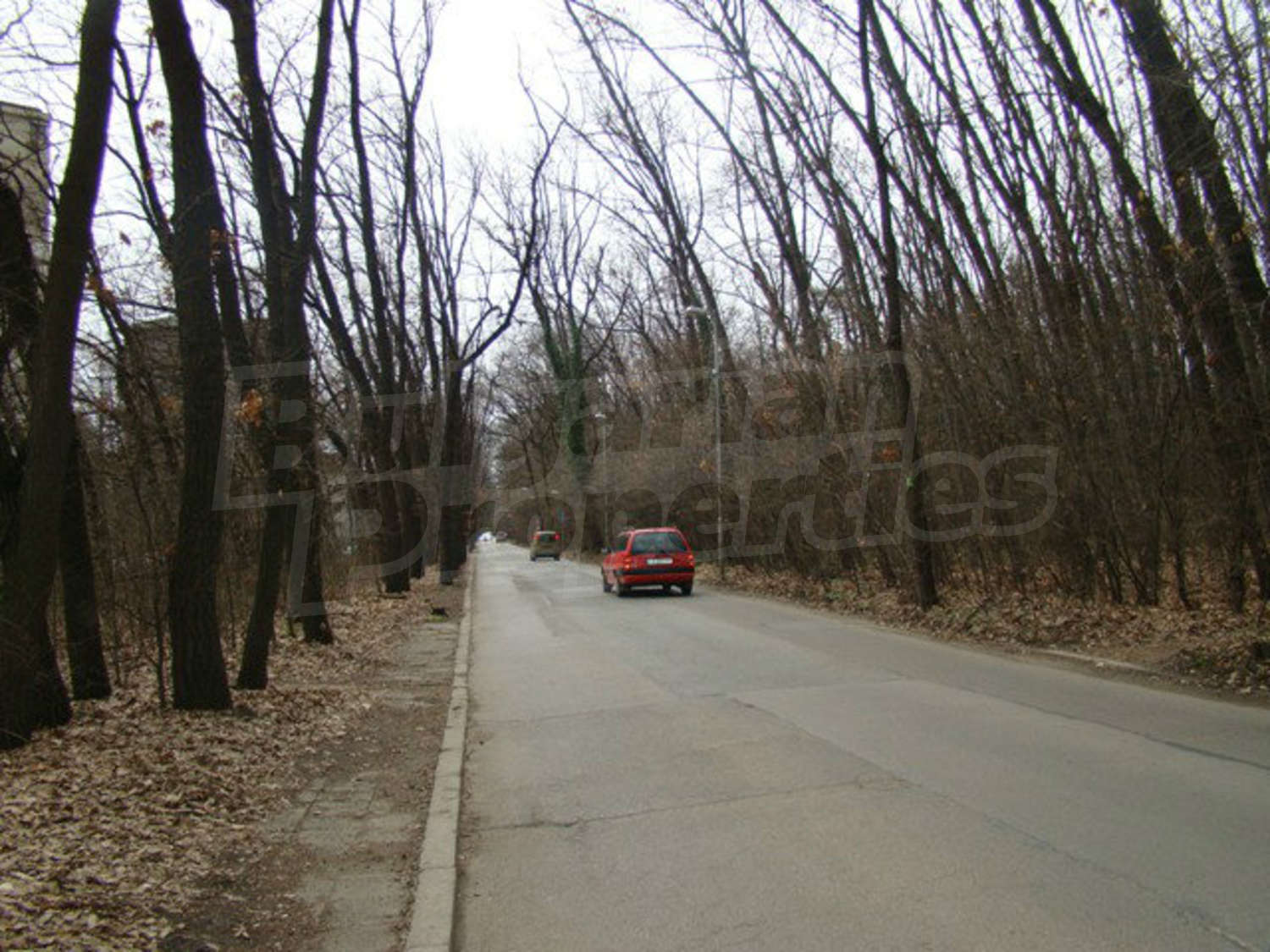 Gallery Picture 47