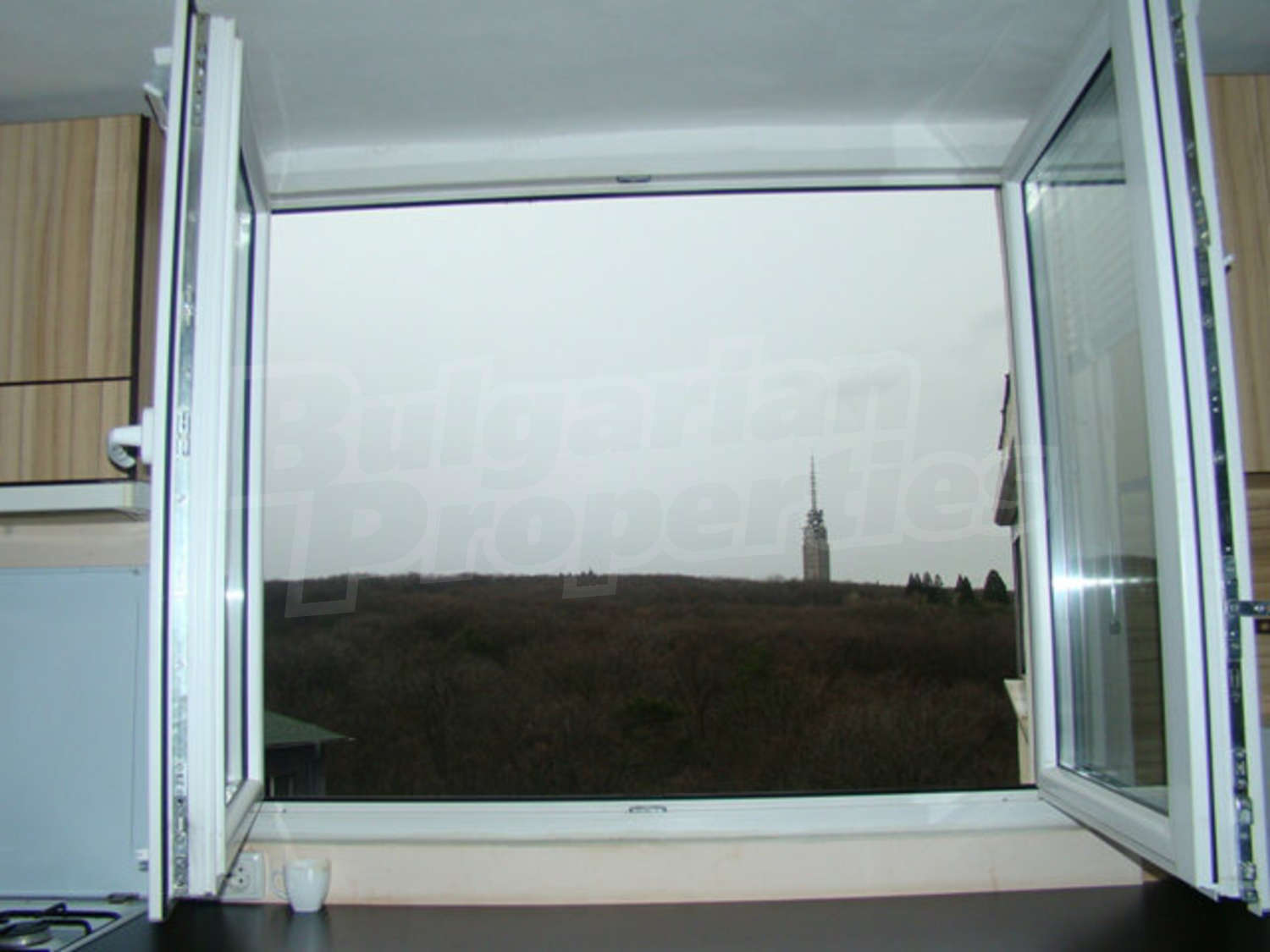 Gallery Picture 6