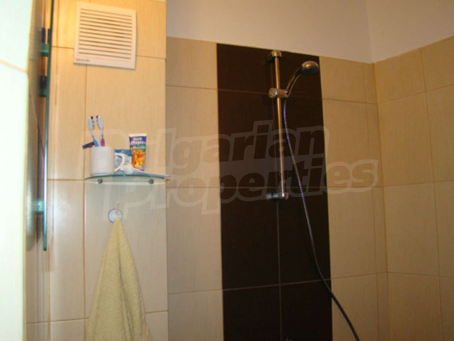 Gallery Picture 7