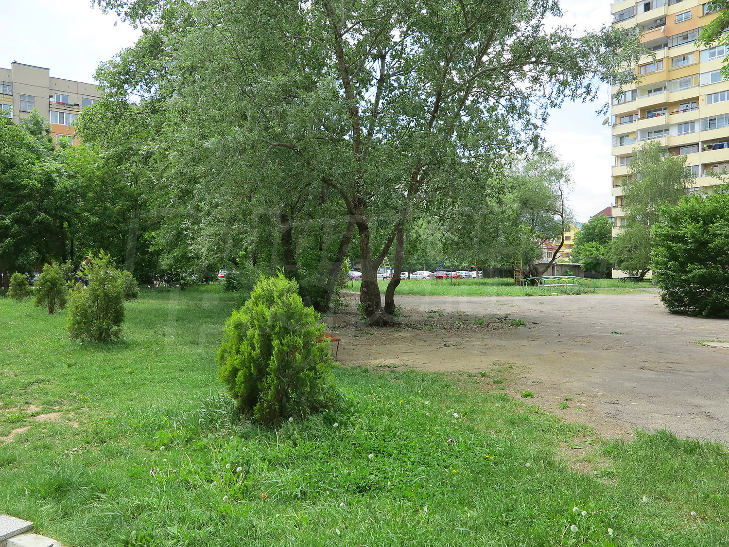 Gallery Picture 13