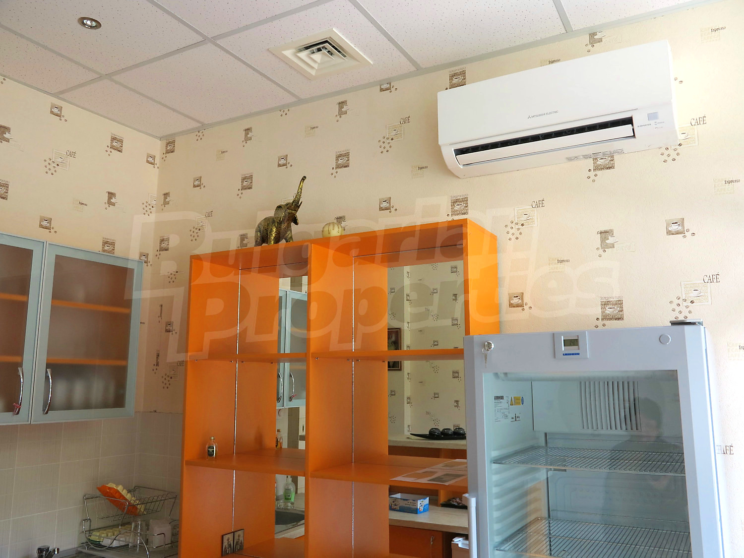 Gallery Picture 9