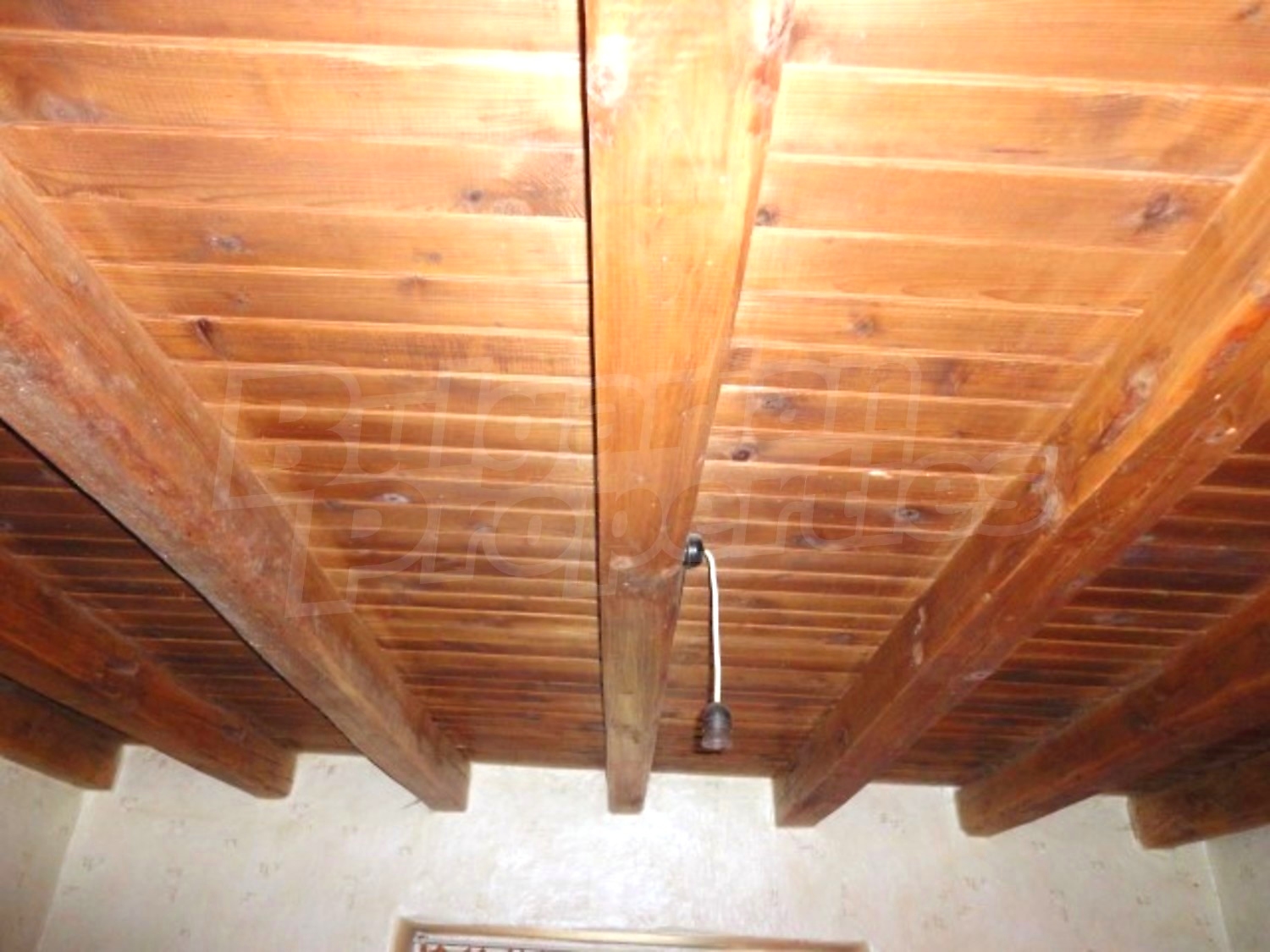 Gallery Picture 12