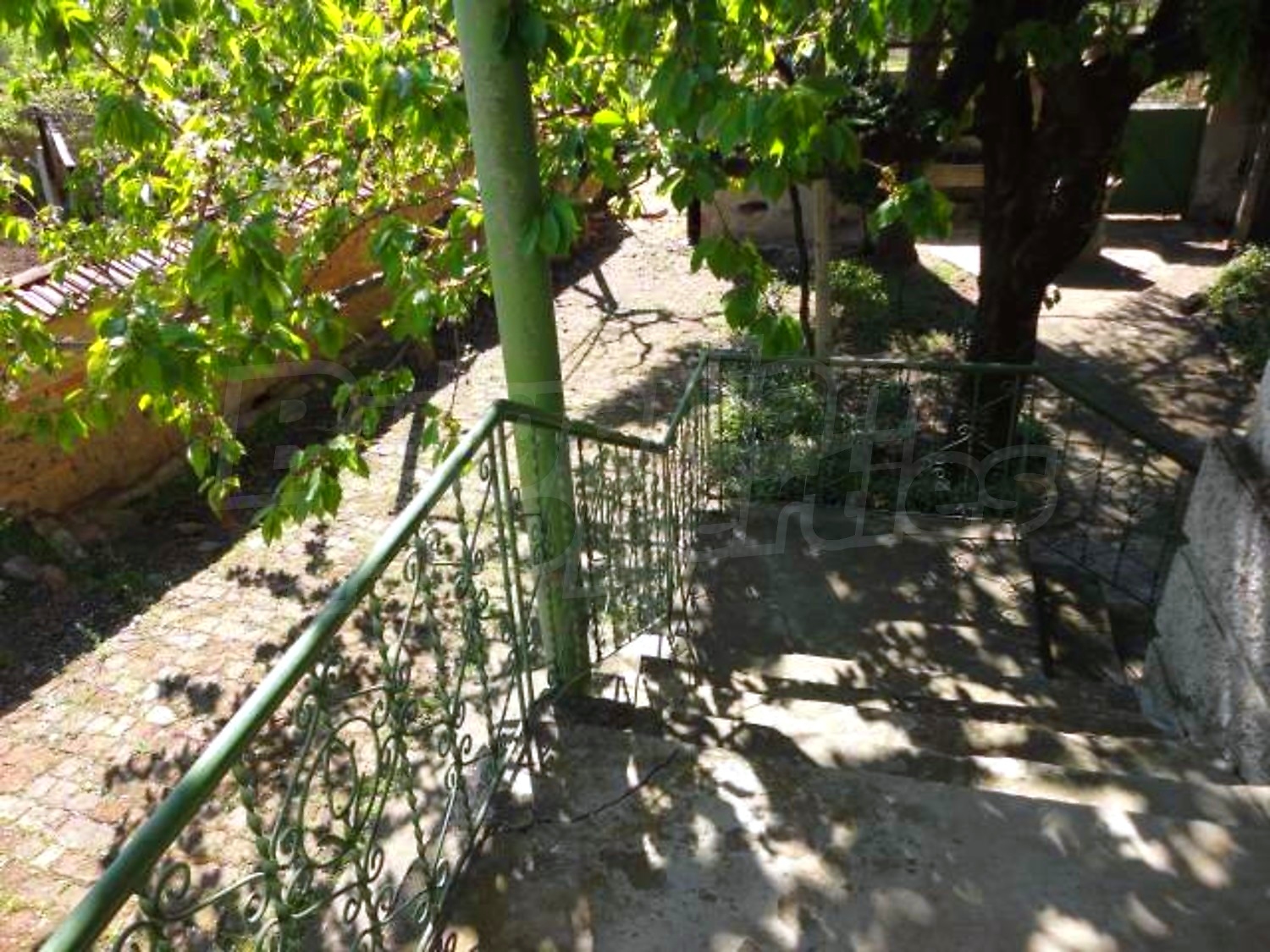 Gallery Picture 18