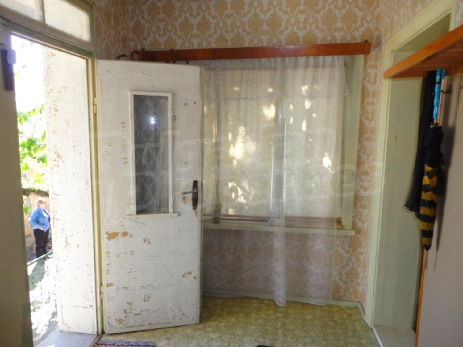 Gallery Picture 22