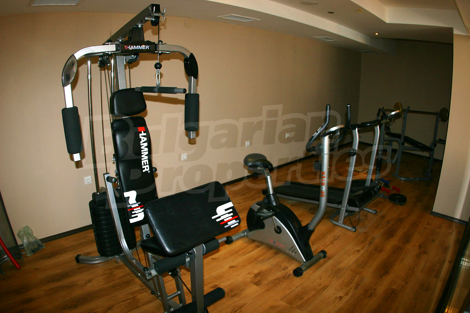 Gallery Picture 65