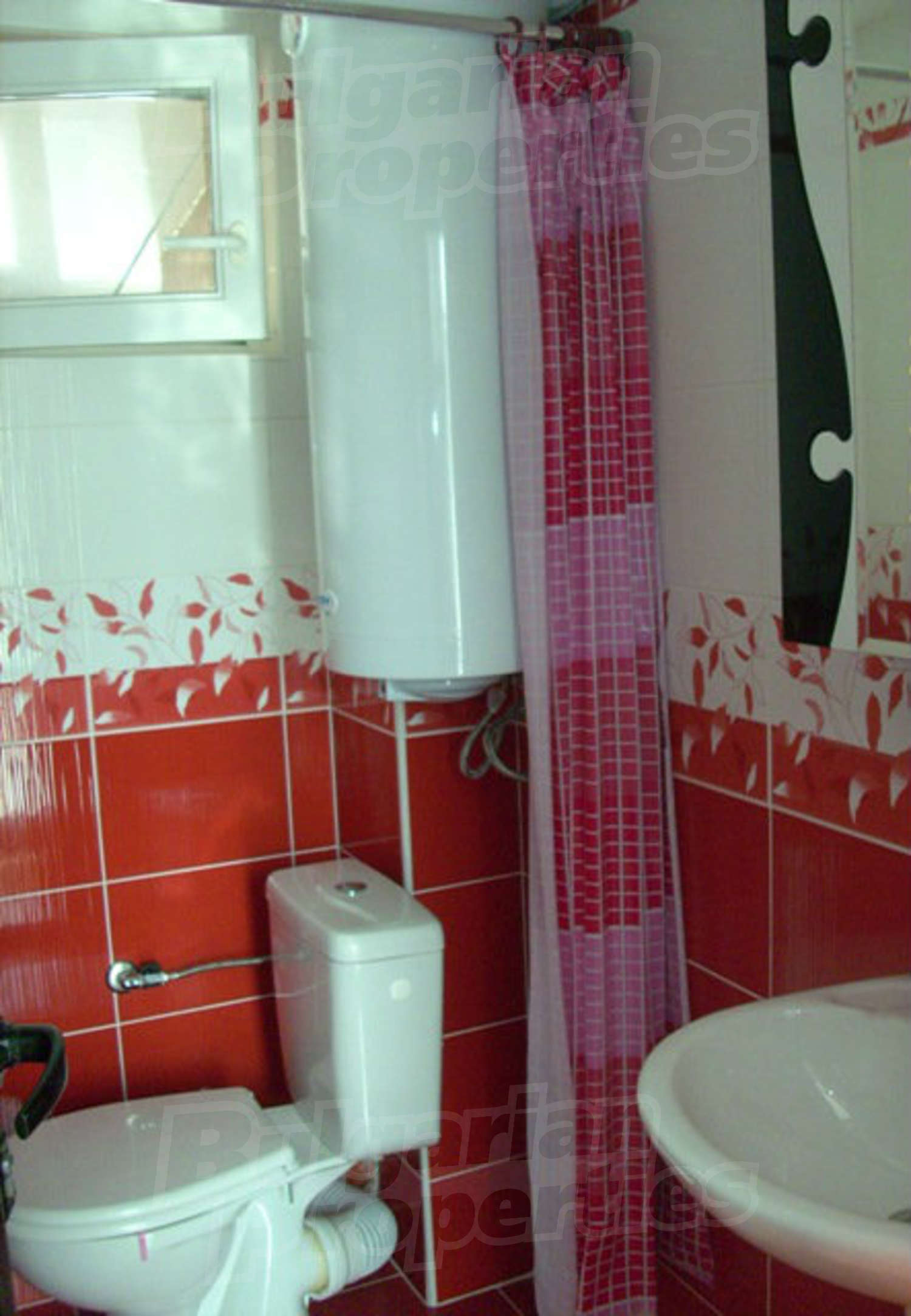 Gallery Picture 19