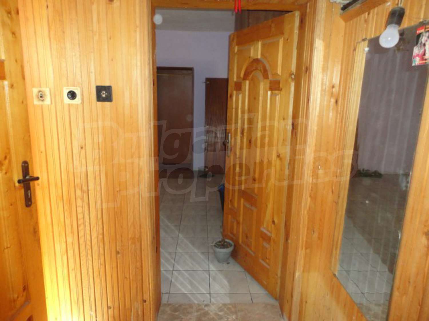 Gallery Picture 11