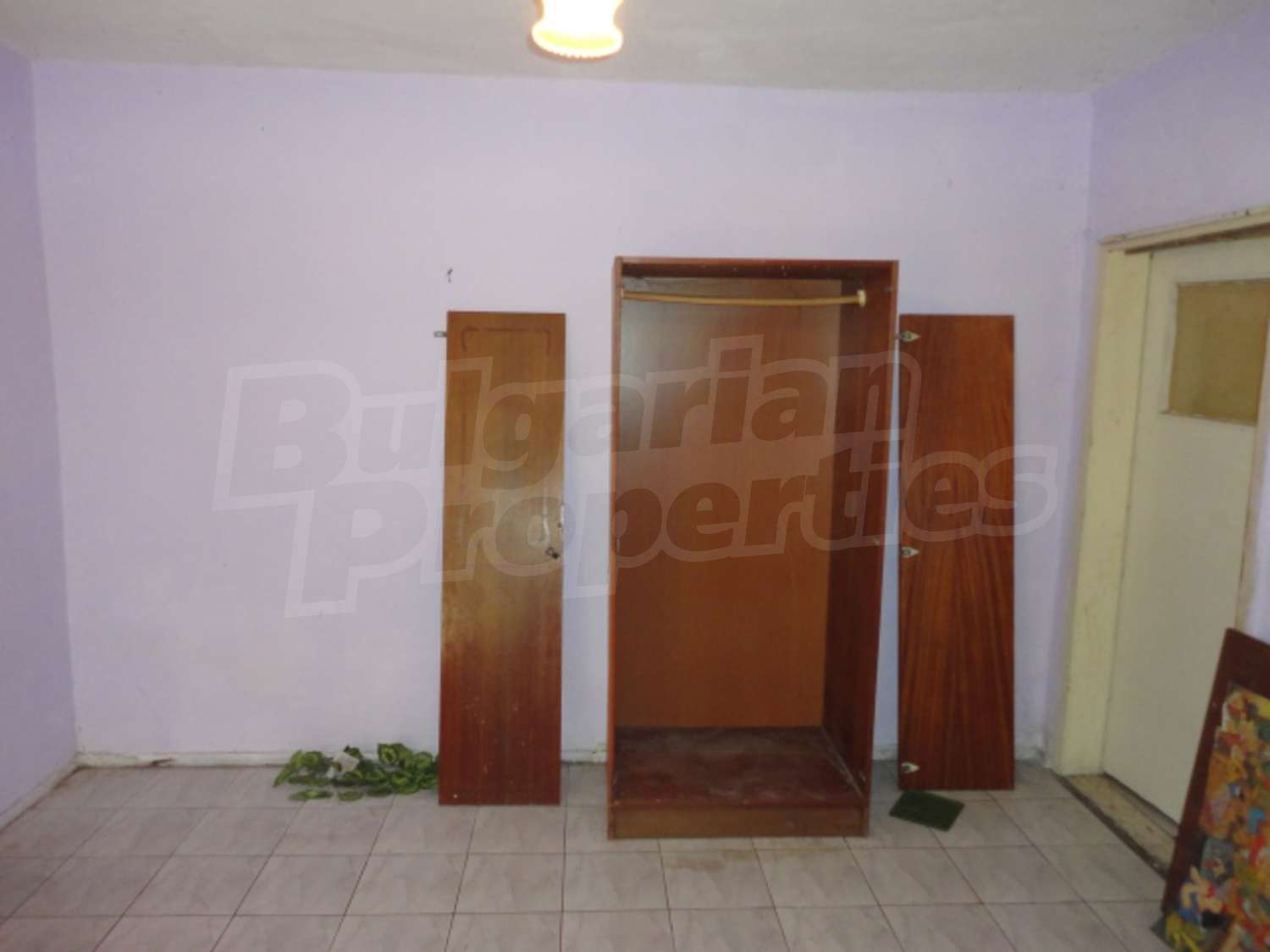 Gallery Picture 16