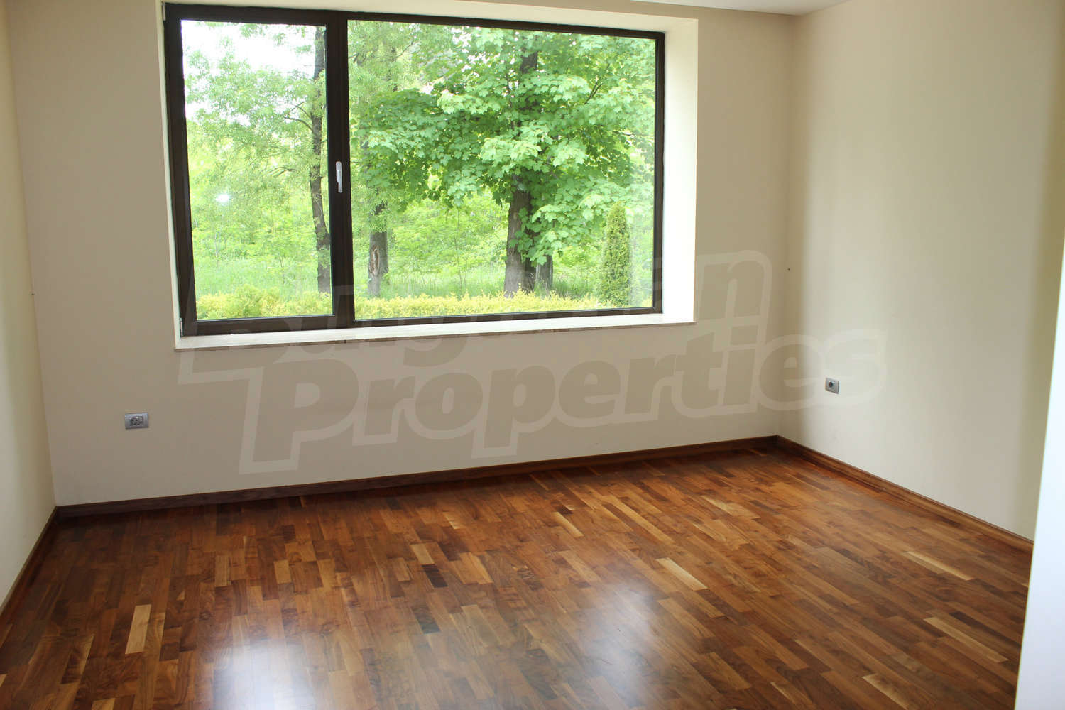 Gallery Picture 19