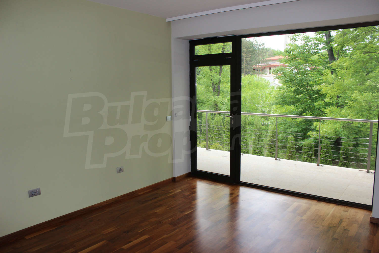 Gallery Picture 38