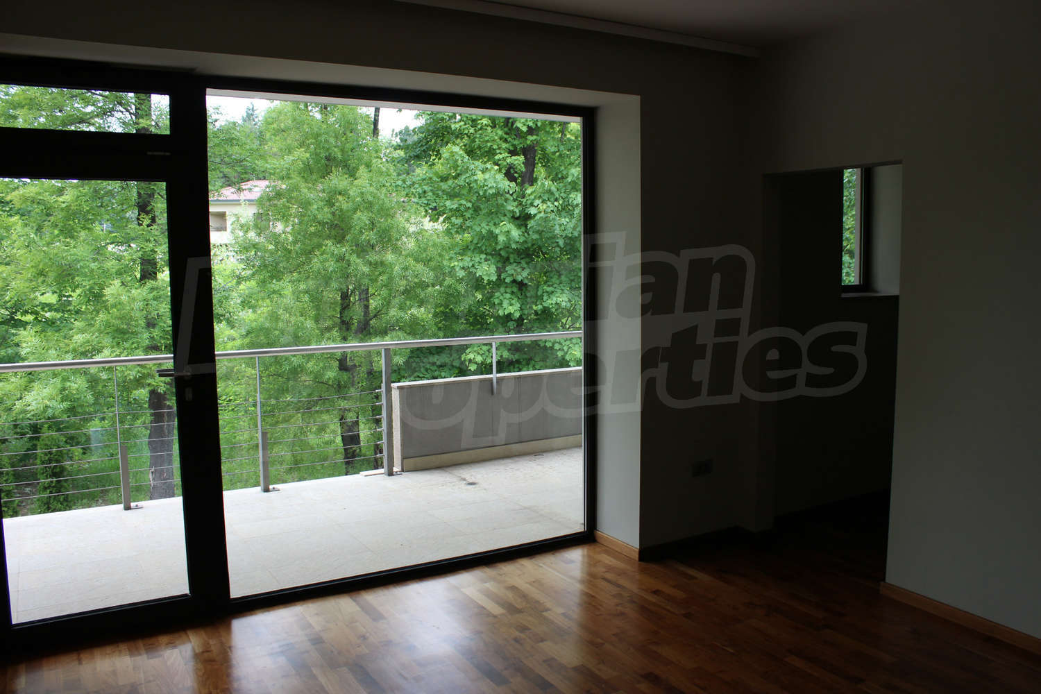 Gallery Picture 39