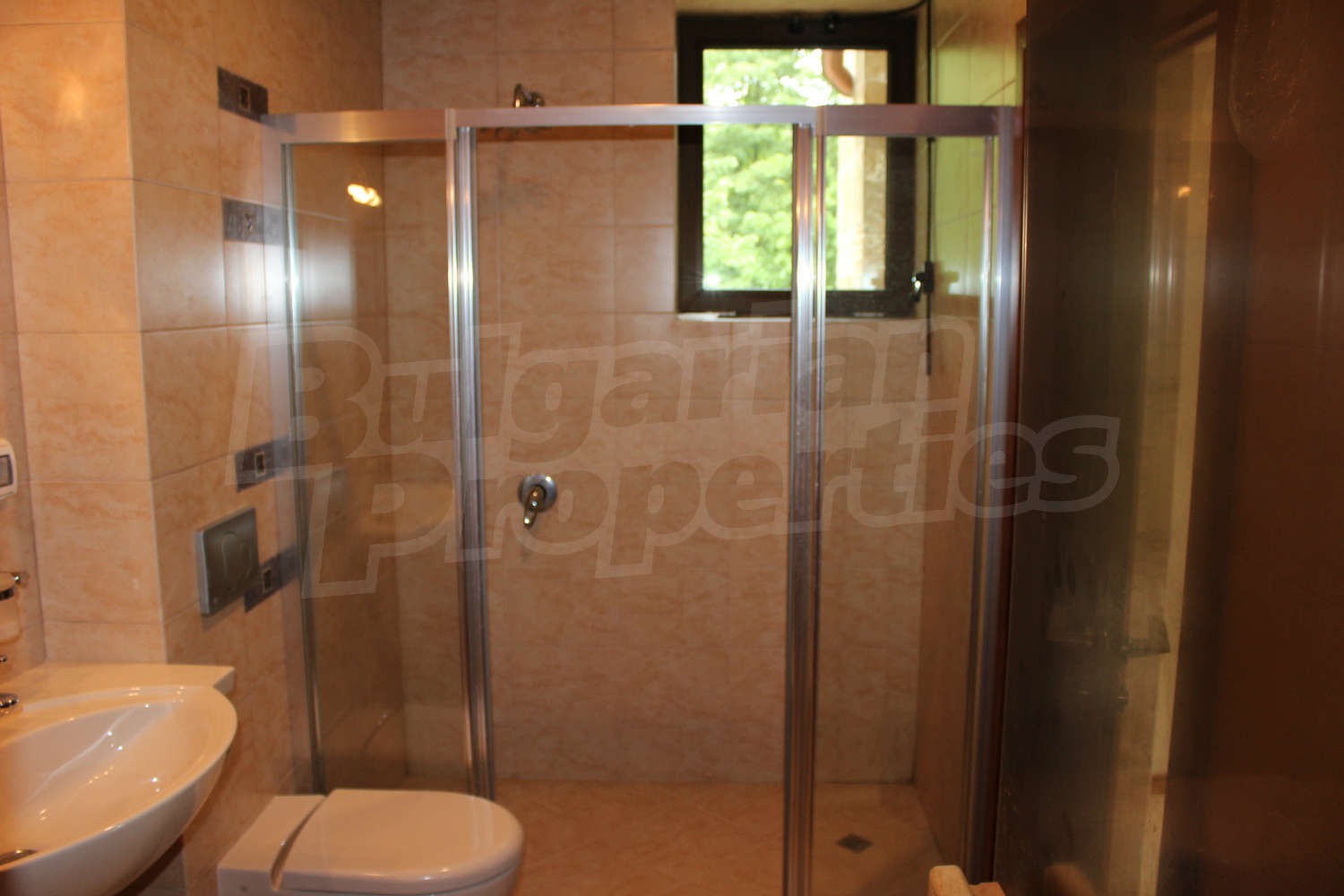 Gallery Picture 46