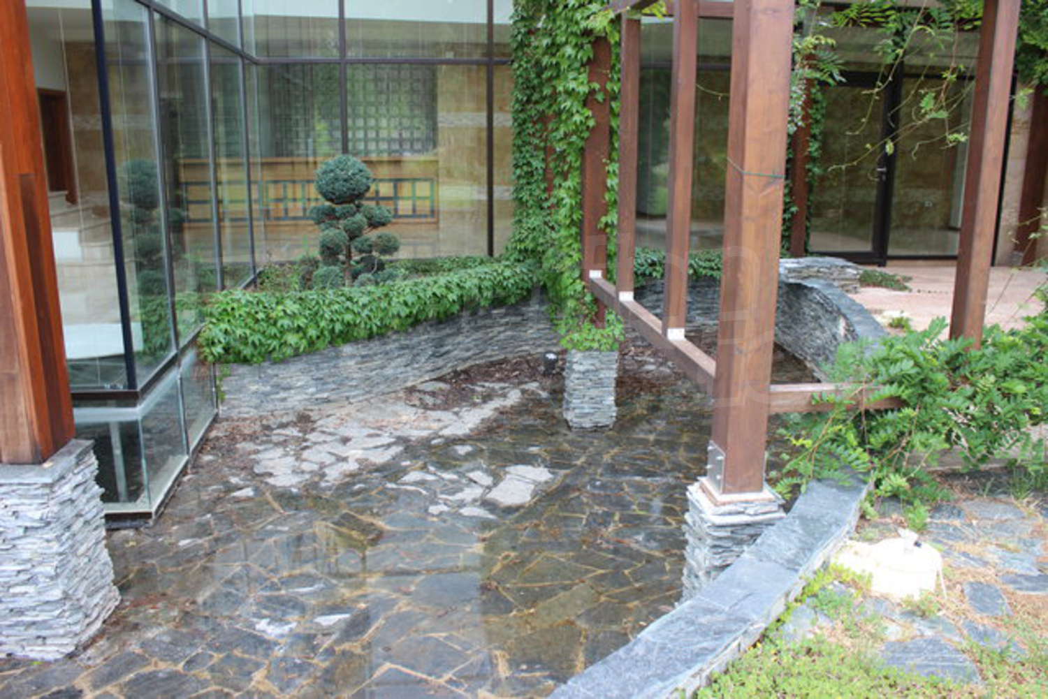 Gallery Picture 61