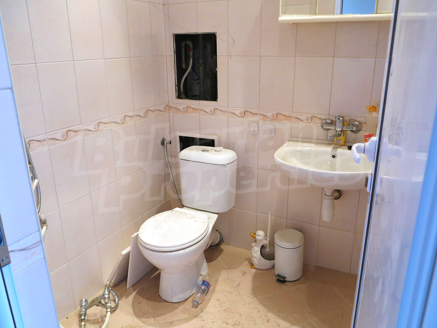 Gallery Picture 9
