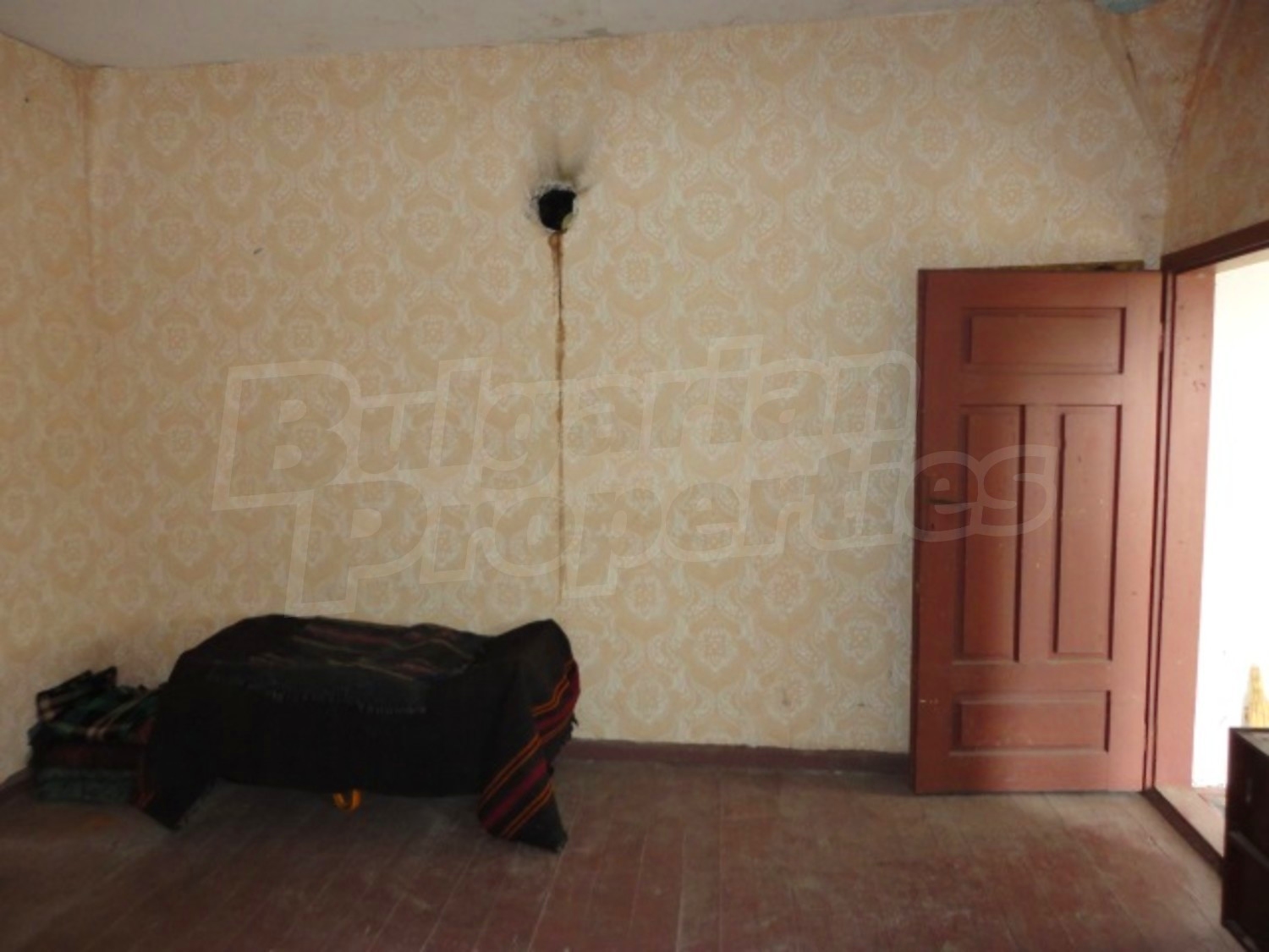 Gallery Picture 13