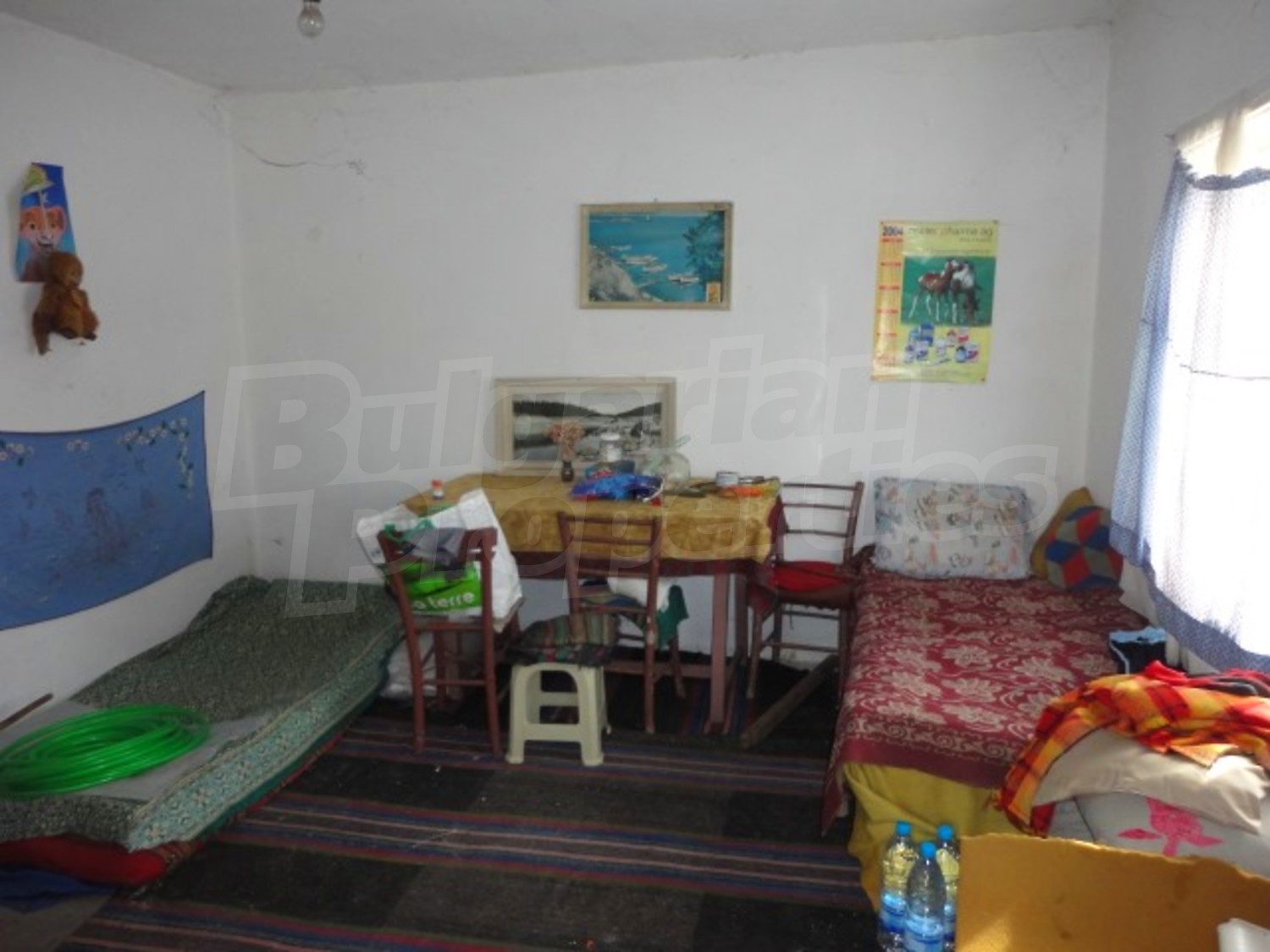 Gallery Picture 14