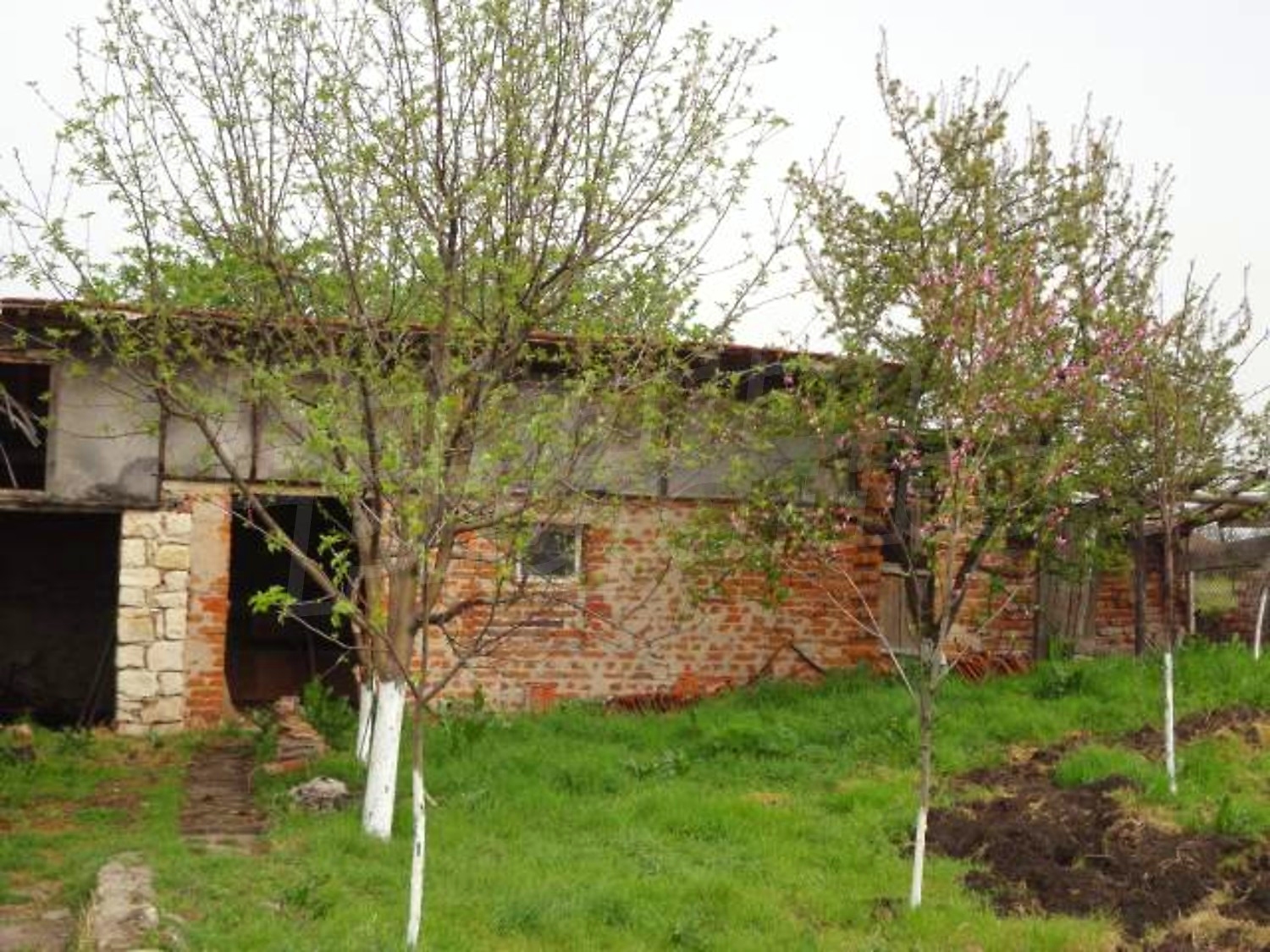 Gallery Picture 26