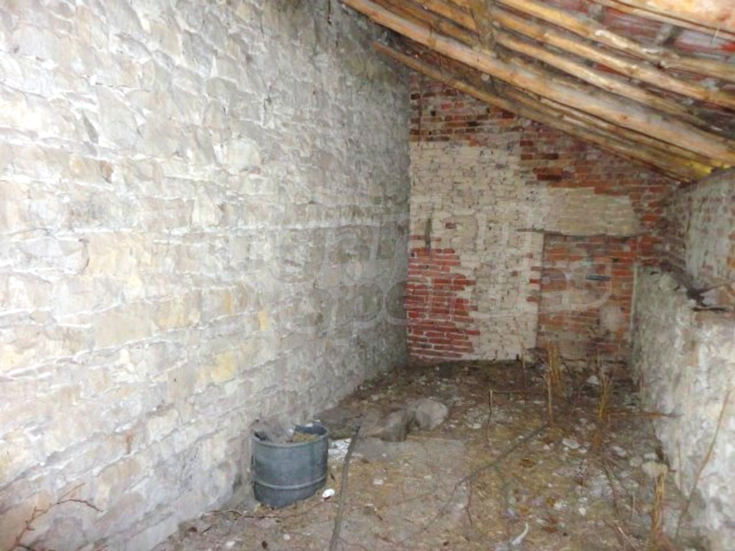 Gallery Picture 27