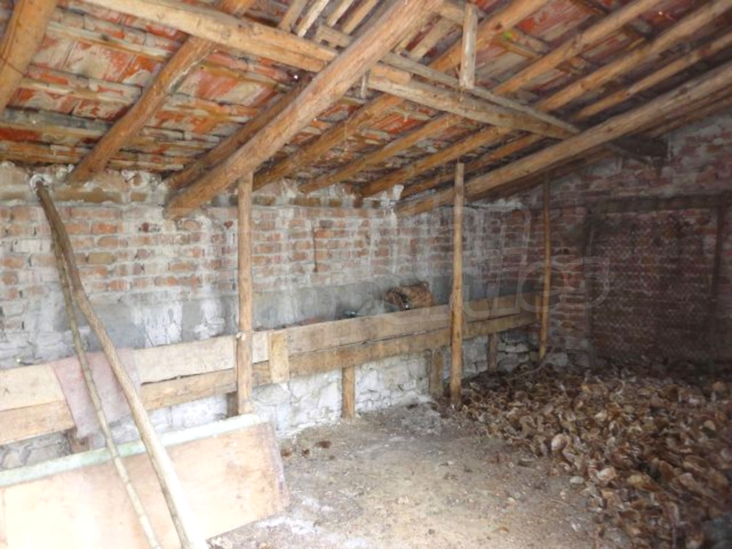 Gallery Picture 29